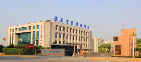 山东工程技师学院学校简介